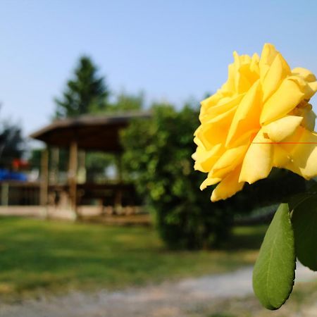 Agriturismo Ai Vigneti 庞蒂索明西奥 外观 照片