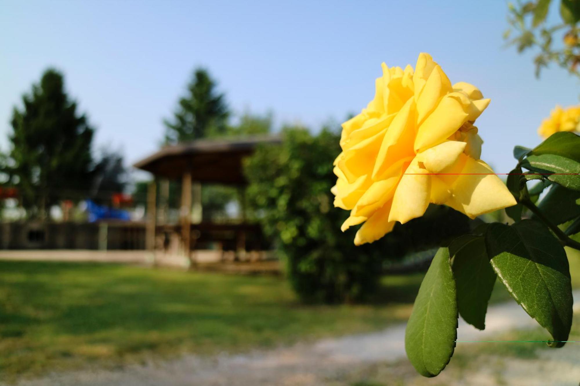 Agriturismo Ai Vigneti 庞蒂索明西奥 外观 照片